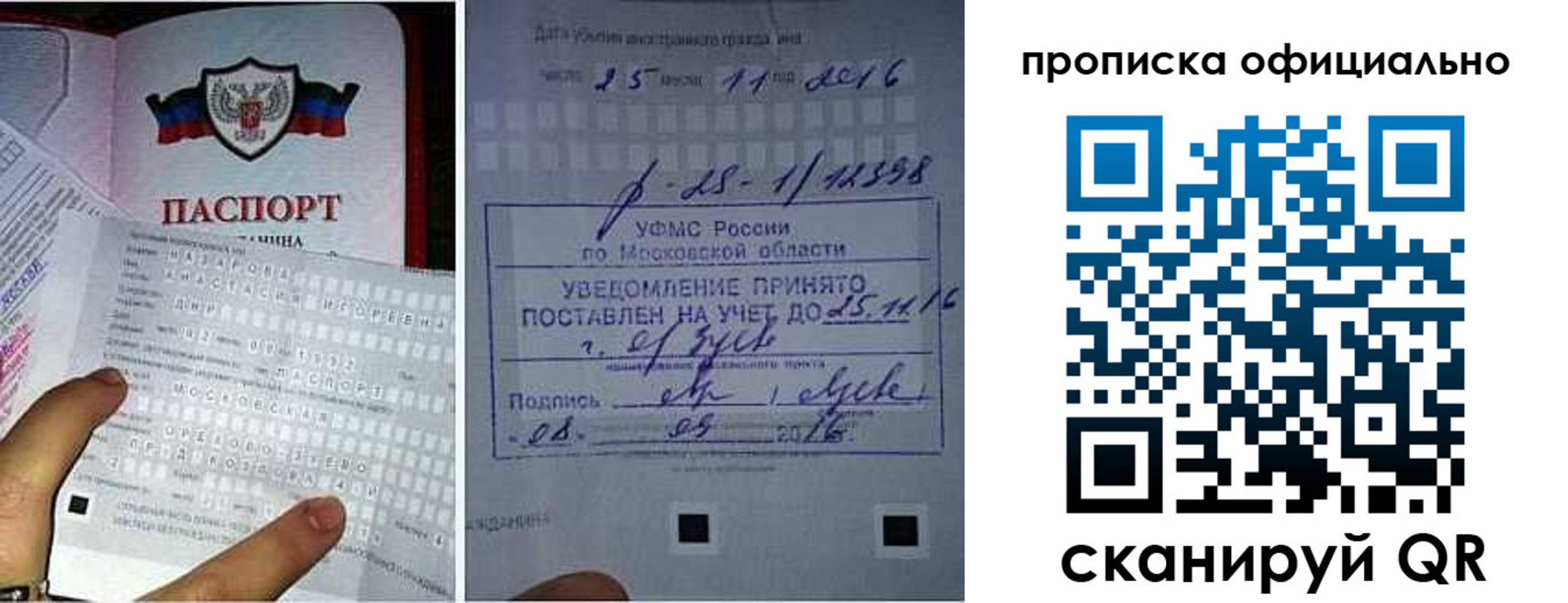 прописка паспорт в Порхове